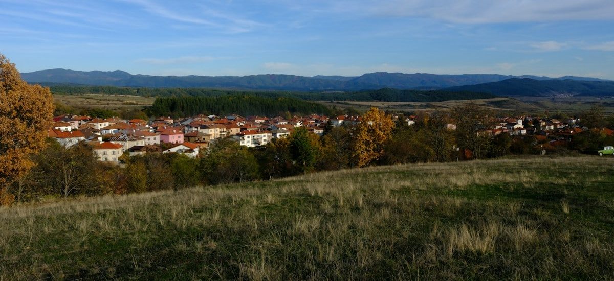 Village nestled among trees with distant mountains
