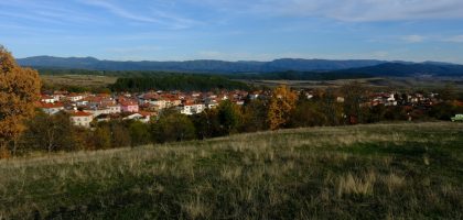 Village nestled among trees with distant mountains