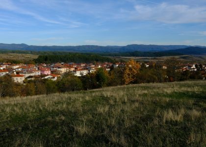 Village nestled among trees with distant mountains